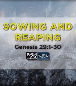 Michael Youssef - Sowing and Reaping