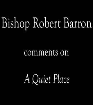 Robert Barron - A Quiet Place