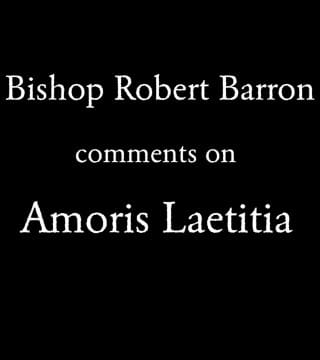 Robert Barron - Pope Francis' Amoris Laetitia