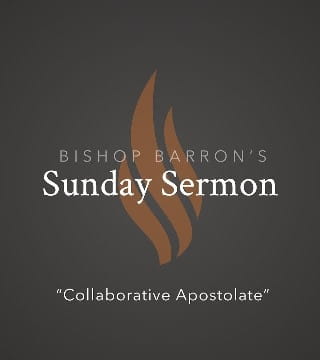 Bishop Barron - Collaborative Apostolate
