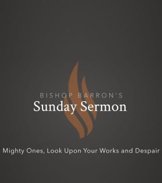 Bishop Barron - Mighty Ones, Look Upon Your Works and Despair