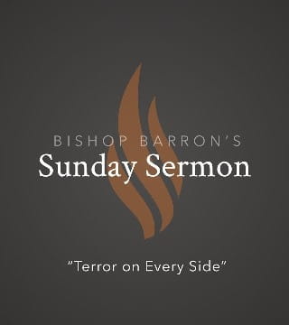 Bishop Barron - Terror on Every Side
