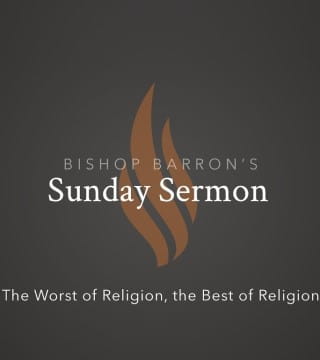 Bishop Barron - The Worst of Religion, the Best of Religion