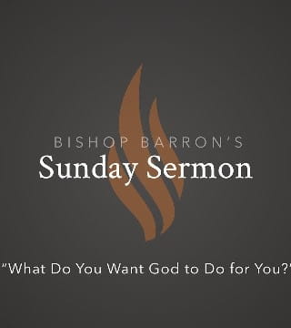 Bishop Barron - What Do You Want God to Do for You?
