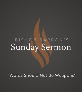 Bishop Barron - Words Should Not Be Weapons