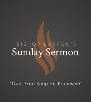 Robert Barron - Does God Keep His Promises?