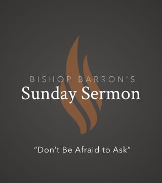 Robert Barron - Don't Be Afraid to Ask