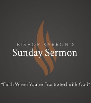 Robert Barron - Faith When You're Frustrated with God