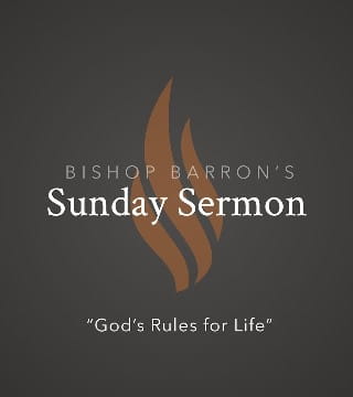 Robert Barron - God's Rules for Life
