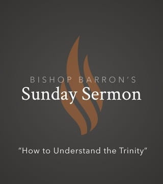 Robert Barron - How To Understand the Trinity