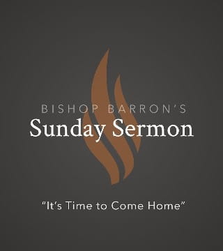 Robert Barron - It's Time to Come Home