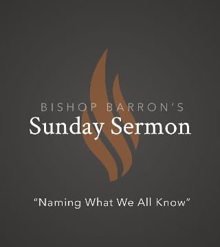 Robert Barron - Naming What We All Know
