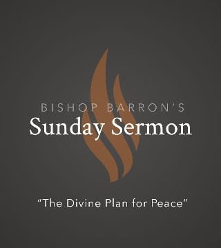 Robert Barron - The Divine Plan for Peace