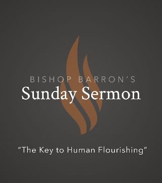 Robert Barron - The Key to Human Flourishing