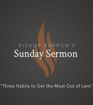Robert Barron - Three Habits to Get the Most Out of Lent