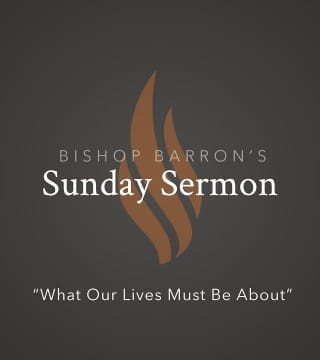 Robert Barron - What Our Lives Must Be About