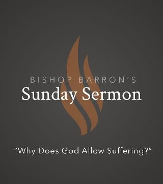 Robert Barron - Why Does God Allow Suffering?