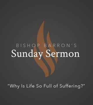 Robert Barron - Why Is Life So Full of Suffering?
