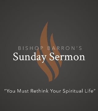 Robert Barron - You Must Rethink Your Spiritual Life