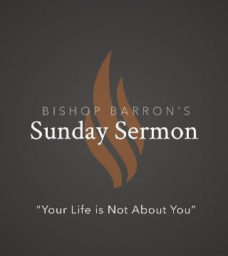 Robert Barron - Your Life is Not About You