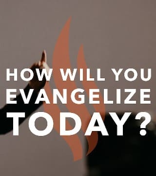 Robert Barron - How Will You Evangelize Today?
