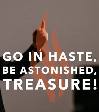 Robert Barron - Go in Haste, Be Astonished, Treasure