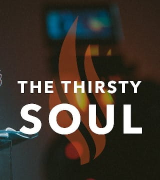 Robert Barron - The Thirsty Soul