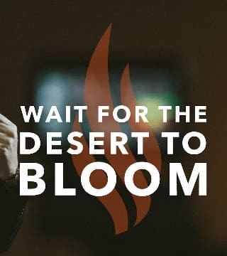 Robert Barron - Wait for the Desert to Bloom