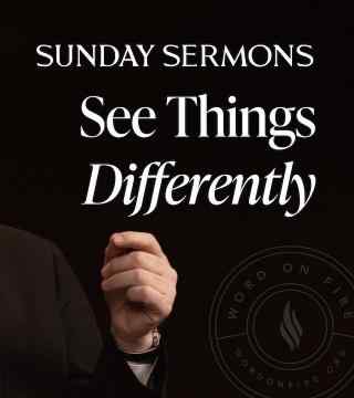 Robert Barron - See Things Differently