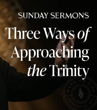 Robert Barron - Three Ways of Approaching the Trinity