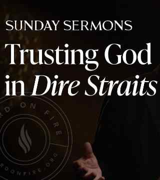 Robert Barron - Trusting God in Dire Straits