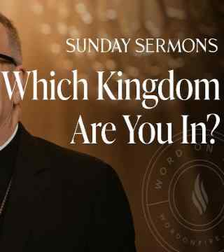 Robert Barron - Which Kingdom Are You In?