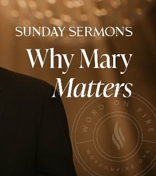 Robert Barron - Why Mary Matters