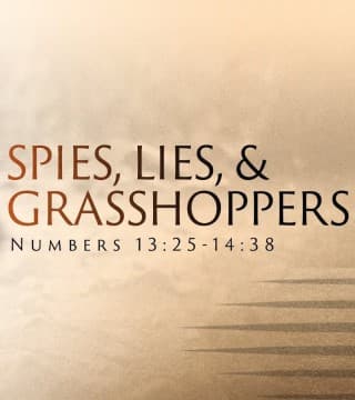 Jeff Schreve - Spies, Lies, and Grasshoppers