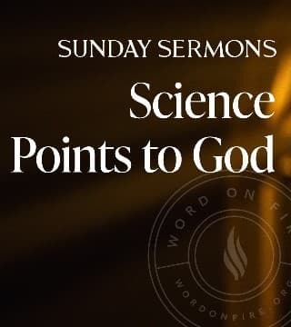 Robert Barron - Science Points to God