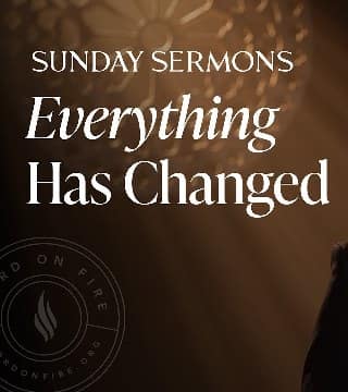 Robert Barron - Everything Has Changed