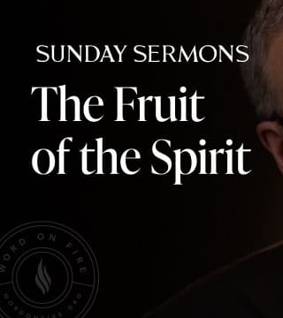 Robert Barron - The Fruit of the Spirit