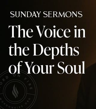 Robert Barron - The Voice in the Depths of Your Soul